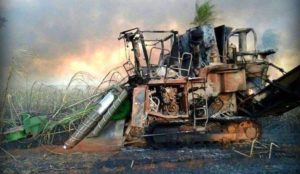 10710582_723706047711480_2848370617882718224_n