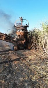 11885263_526578364185402_5543491067720701361_n