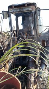 11953160_526578390852066_4632180031095028223_n