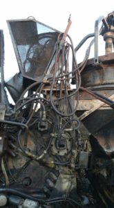 11960219_526578247518747_2314939071659436391_n