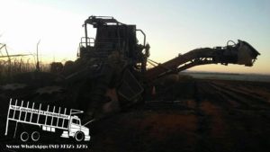 21317760_1898423117074524_8858916645501387718_n