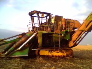 388974_252868371428596_2103822365_n