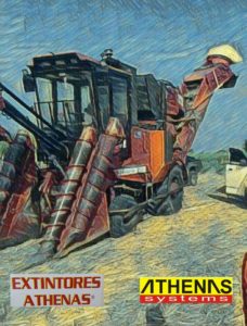 PhotoGrid_1528143330222