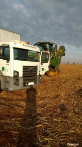 PhotoGrid_1529148496854