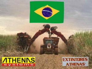 PhotoGrid_1530028981573