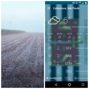 PhotoGrid_1531392005435